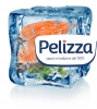 Logo Pelizza Group